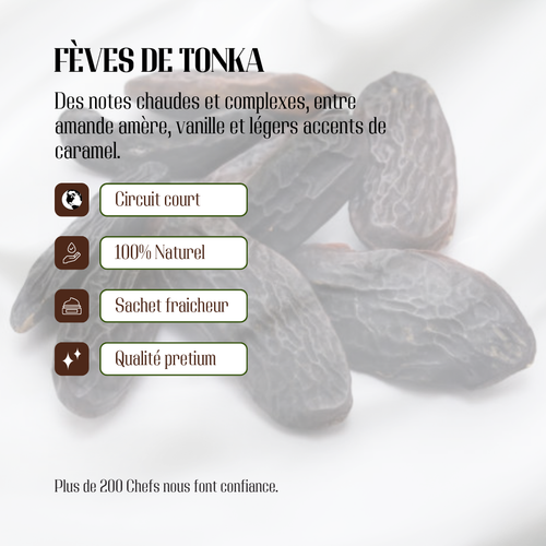 10 FEVES DE TONKA D'AMAZONIE